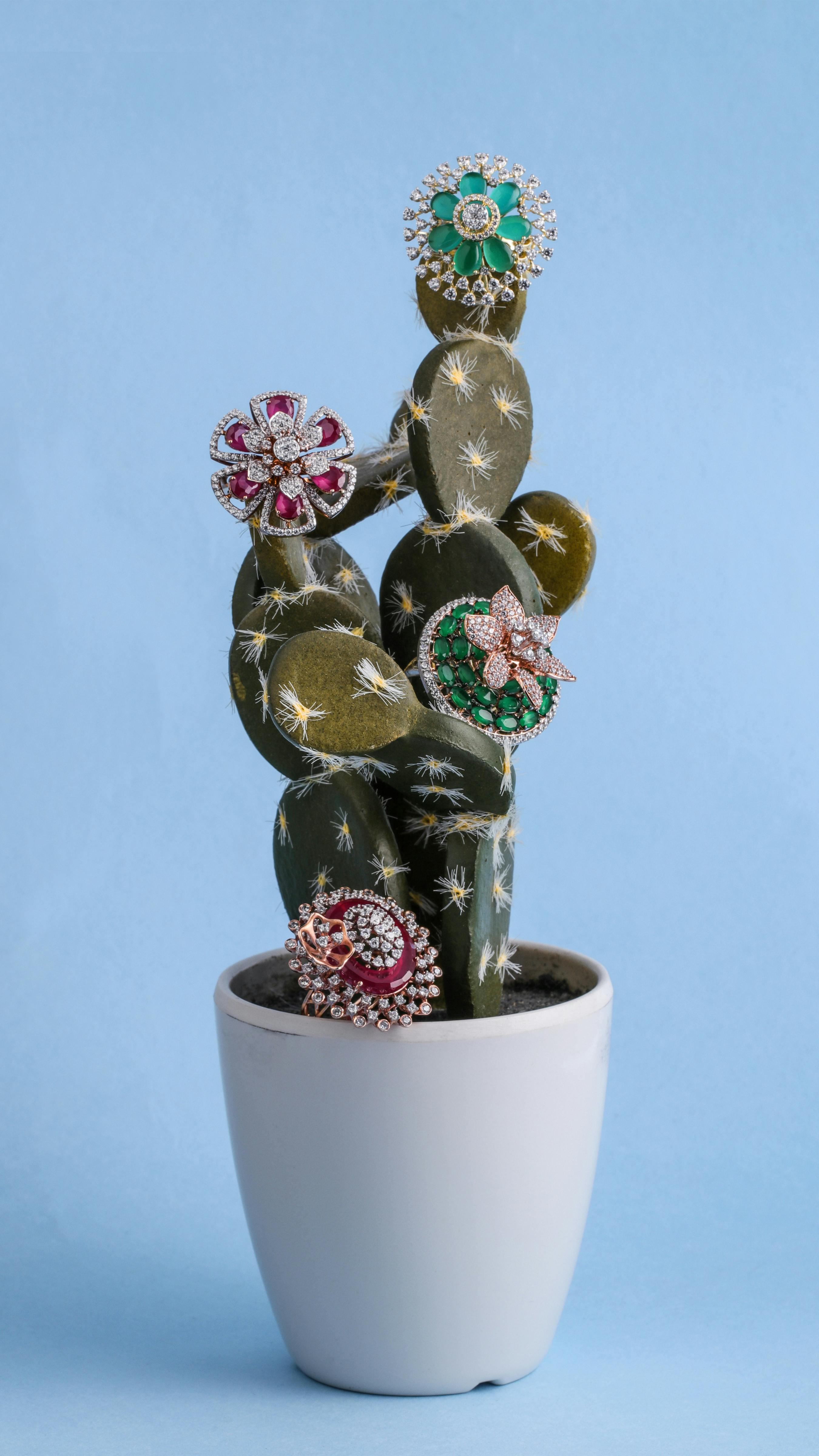 Brooches