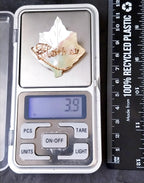 Antique Name BROOCH - Mother of Pearl with Florence