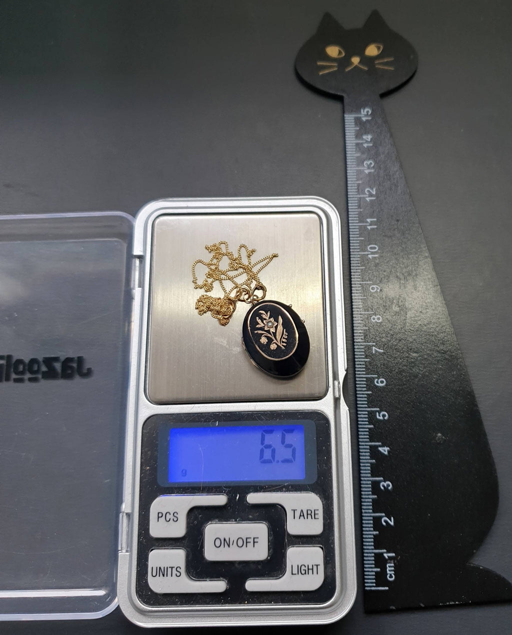 VICTORIAN Jet Black & 9ct Gold LOCKET - with 18" Chain - 6.5g