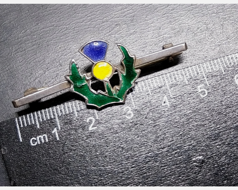 Vintage Sterling Silver Bar Brooch THISTLE with Coloured Enamel - 4.4g
