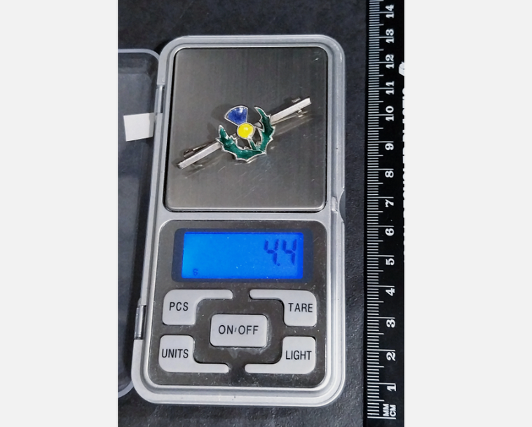 Vintage Sterling Silver Bar Brooch THISTLE with Coloured Enamel - 4.4g