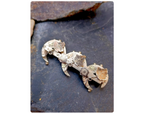 VICTORIAN Triple CRESCENT MOON Brooch - circa 1887 - 4.3g